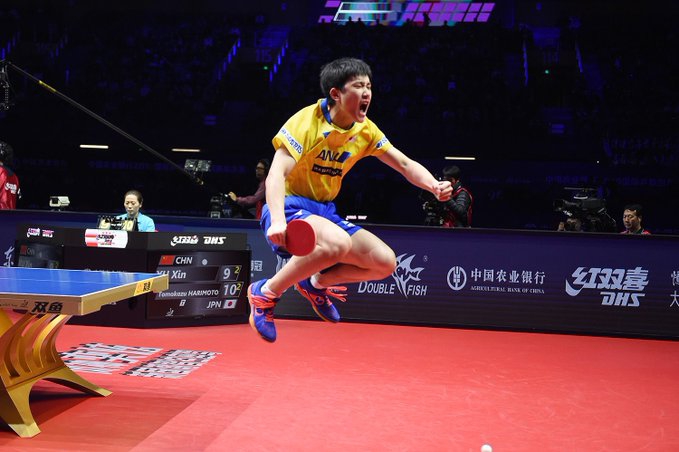 张本智和17岁生日快乐