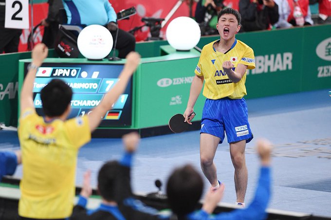 张本智和17岁生日快乐