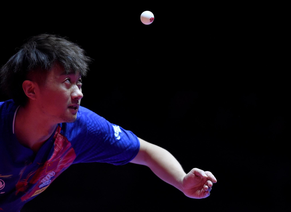 奥地利赛樊振东4-0赵子豪夺冠