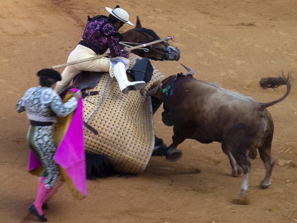 塞维利亚斗牛表演血脉喷张