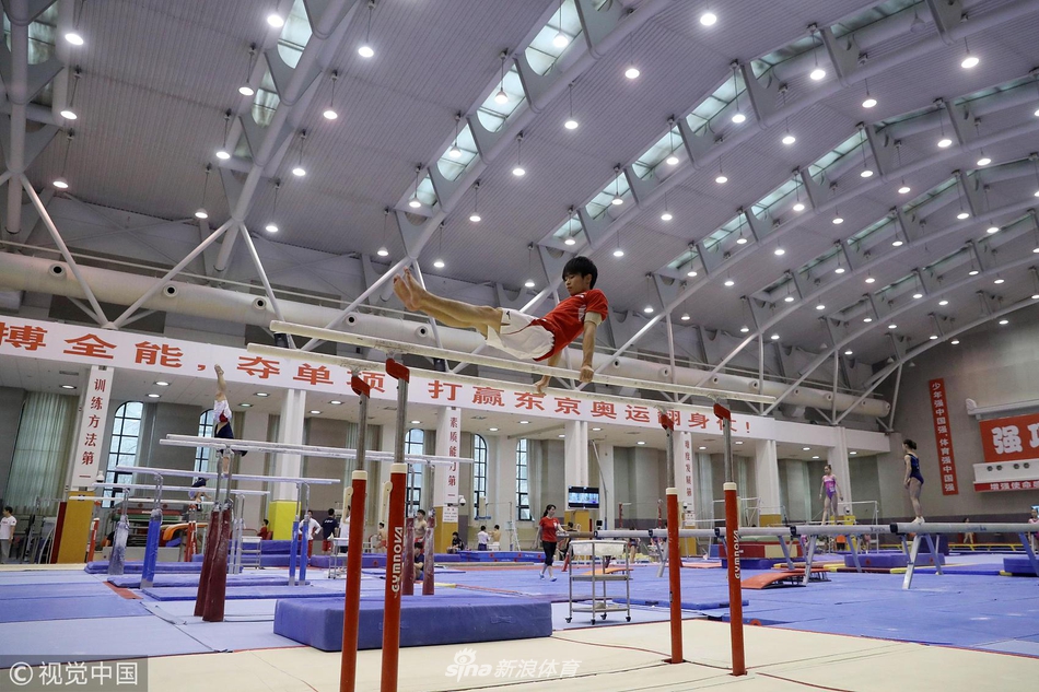 中日男子体操队公开训练