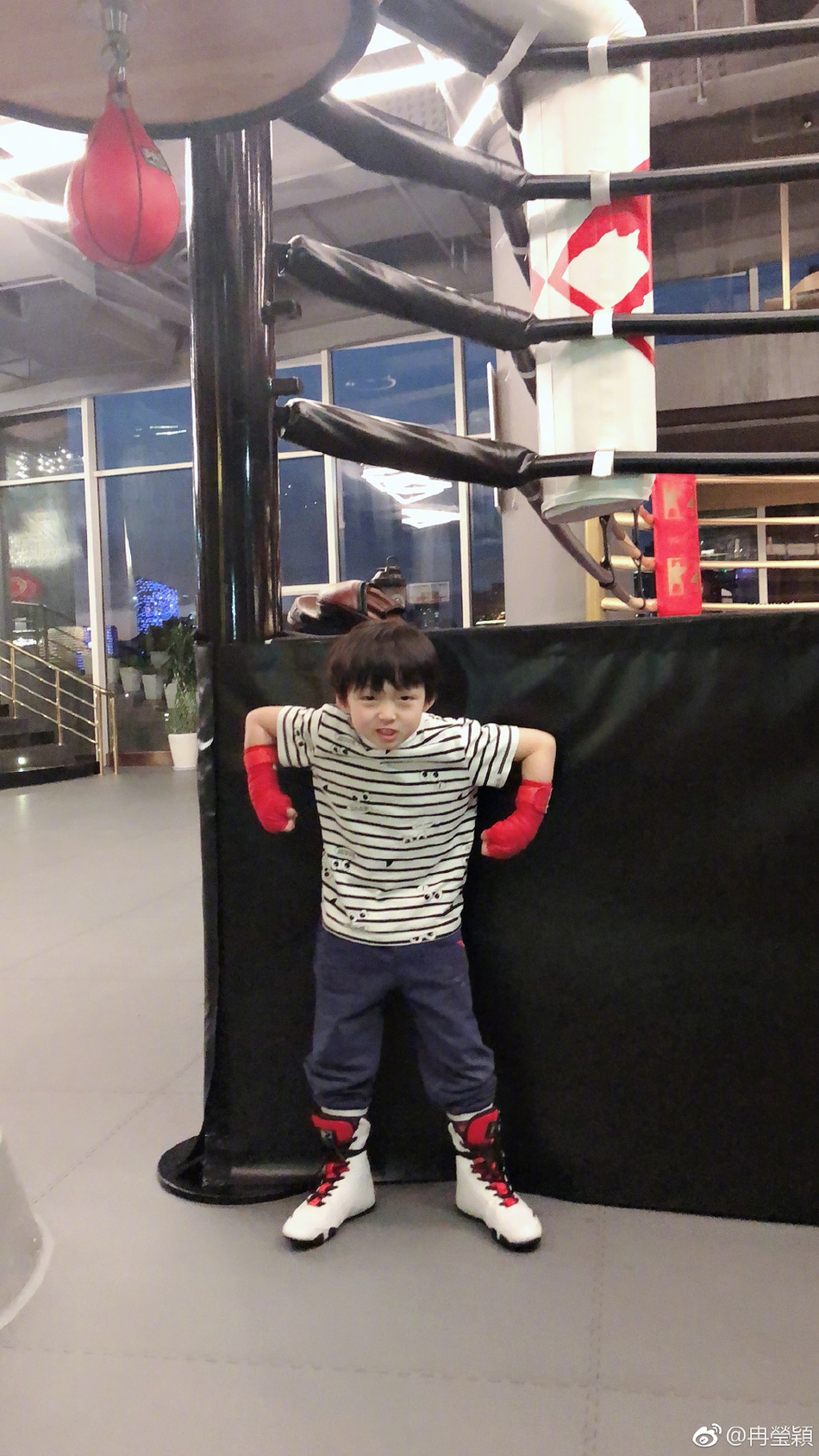 虎父无犬子！邹市明两爱子练拳击