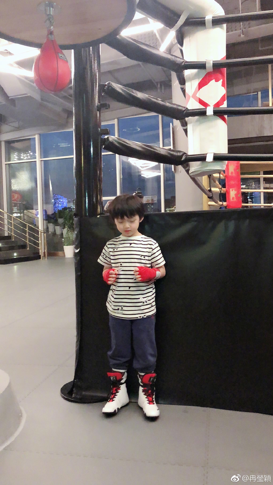 虎父无犬子！邹市明两爱子练拳击