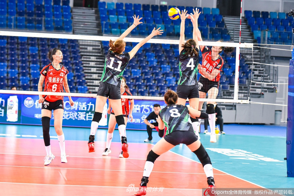 排超第二阶段辽宁女排3-0河南