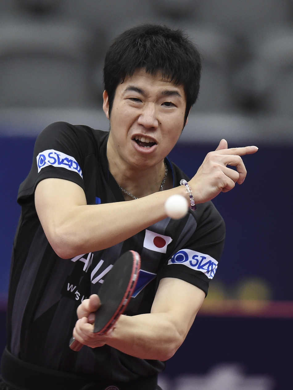 卡塔尔赛水谷隼晋级8强