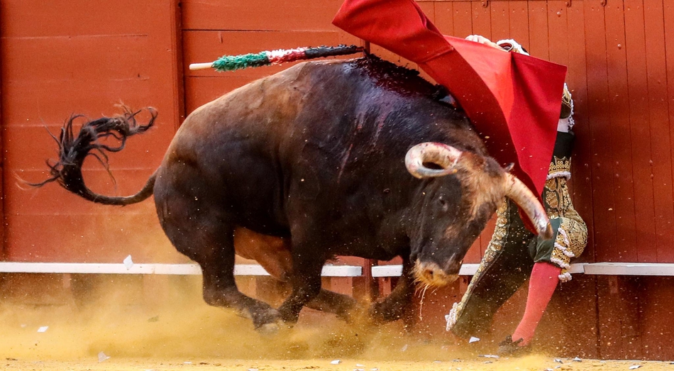 塞维利亚斗牛表演血脉喷张