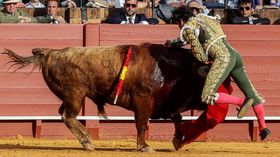 塞维利亚斗牛表演血脉喷张