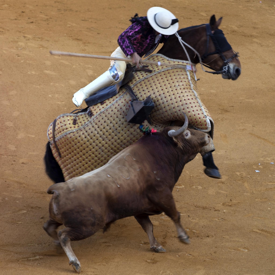 塞维利亚斗牛表演血脉喷张
