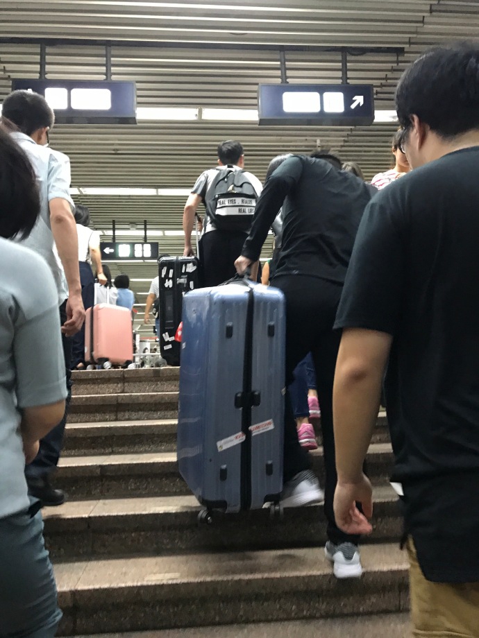 樊振东许昕出行遇“人在逋尽