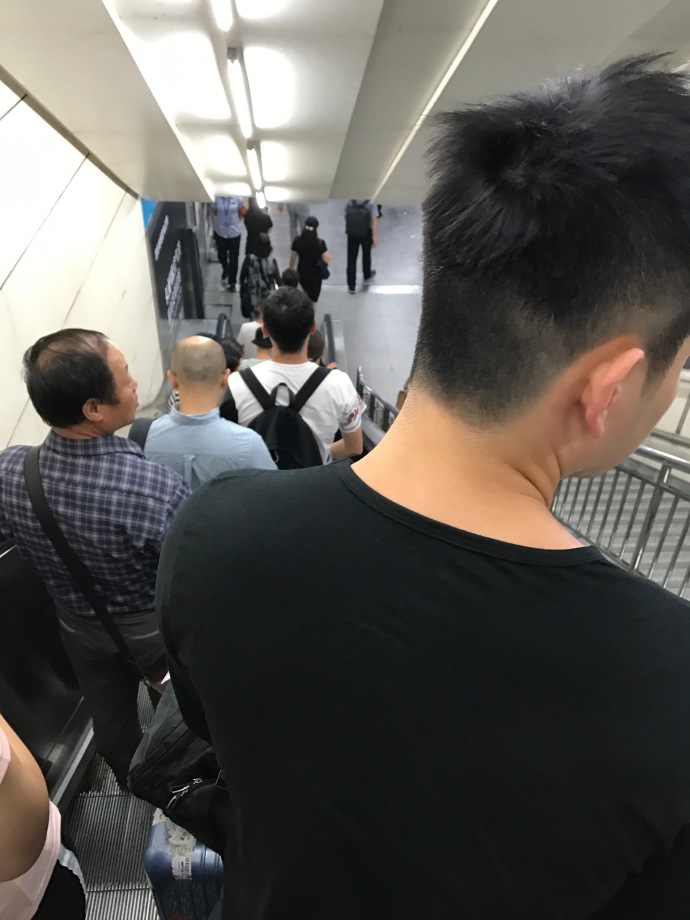 樊振东许昕出行遇“人在逋尽