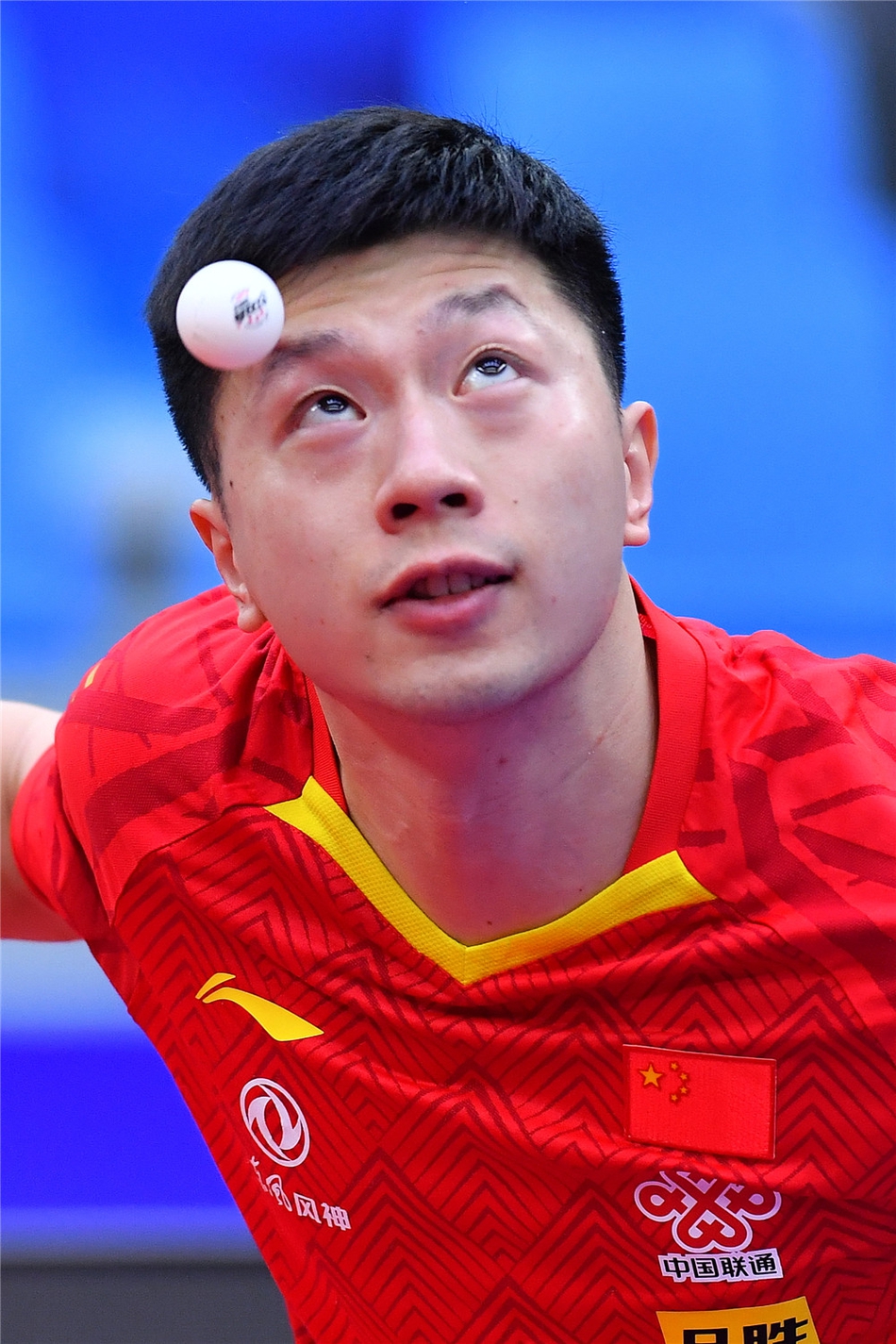 男乒世界杯马龙晋级八强