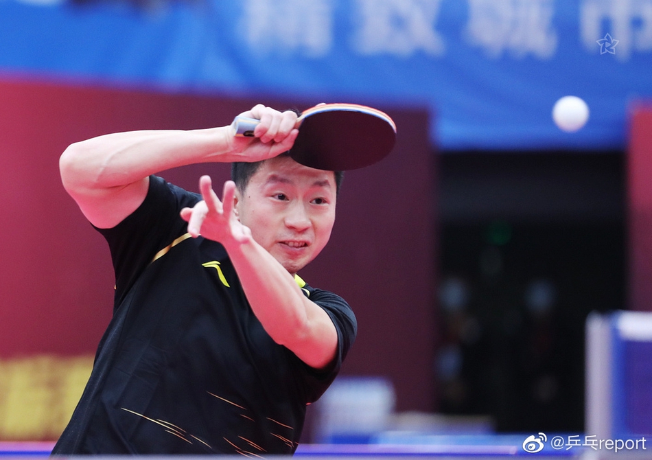 全锦赛樊振东夺得男单冠军