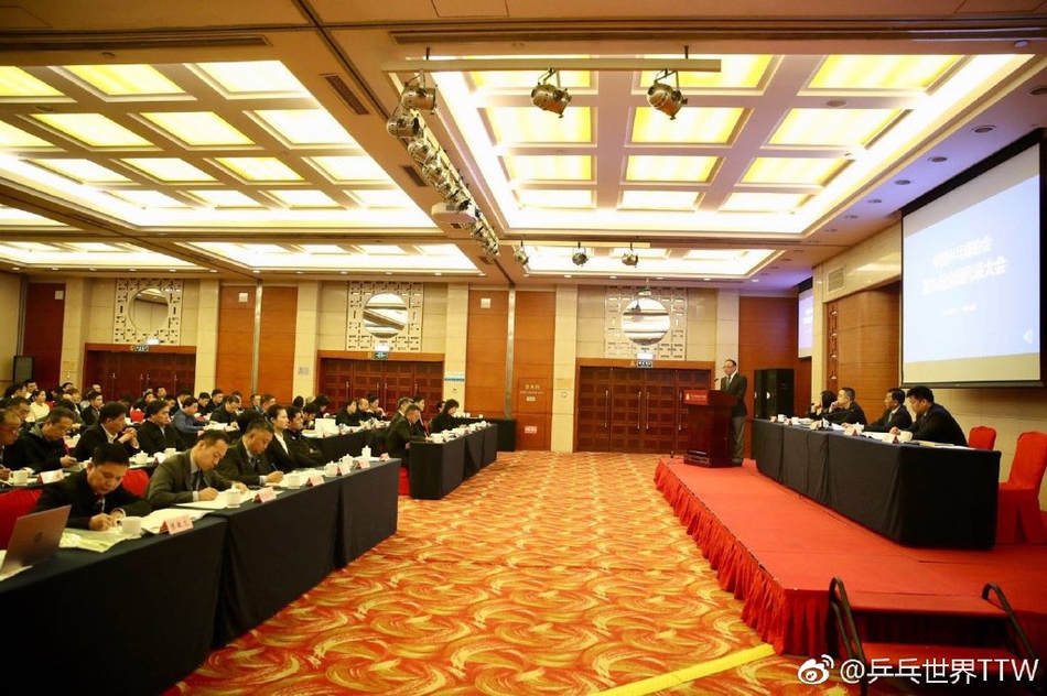 刘国梁当选新一届乒协主席