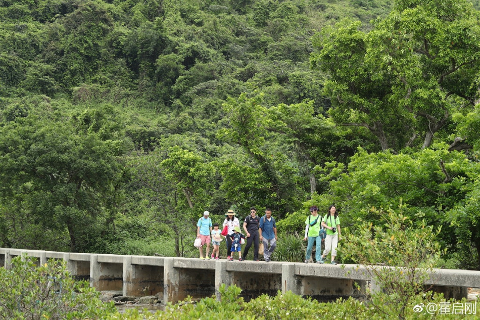 霍启刚郭晶晶带孩子体验插秧