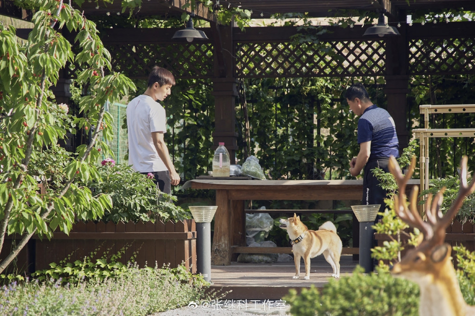 张继科节目中做家务有模有样