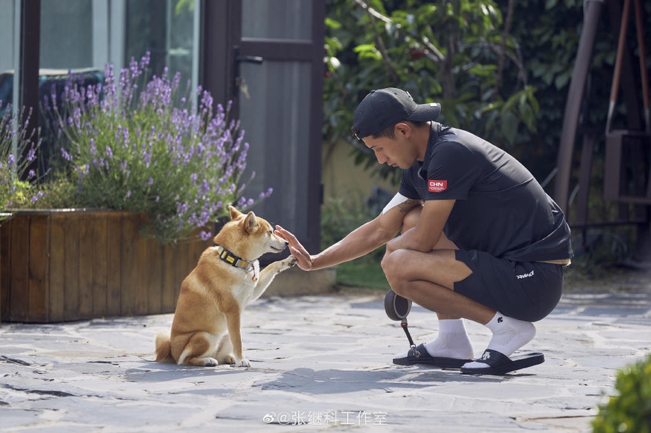 张继科录节目黑超遮面去相亲