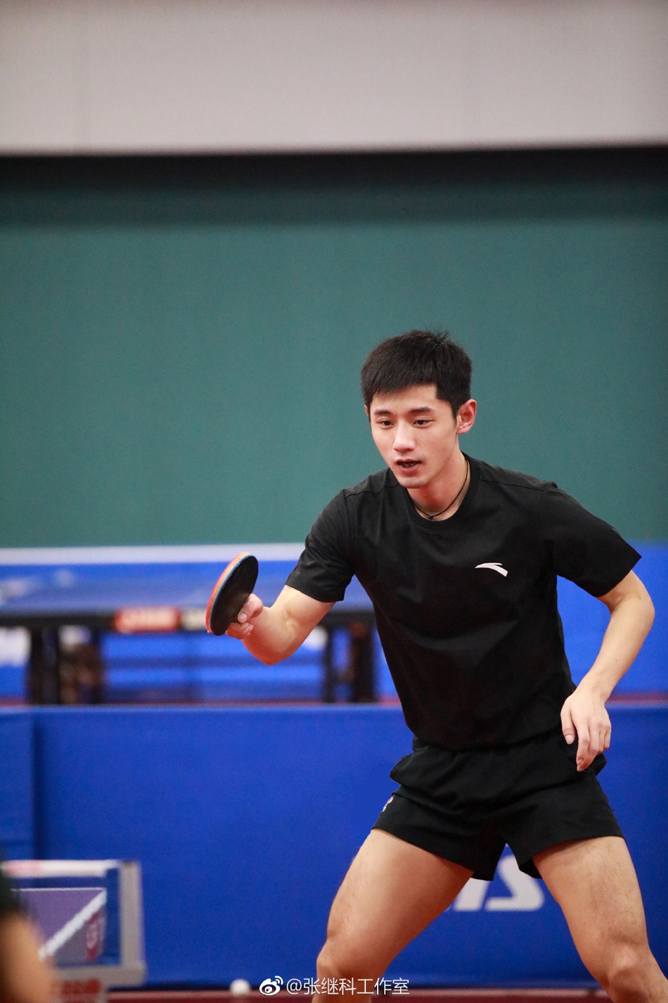 张继科回归球场训练