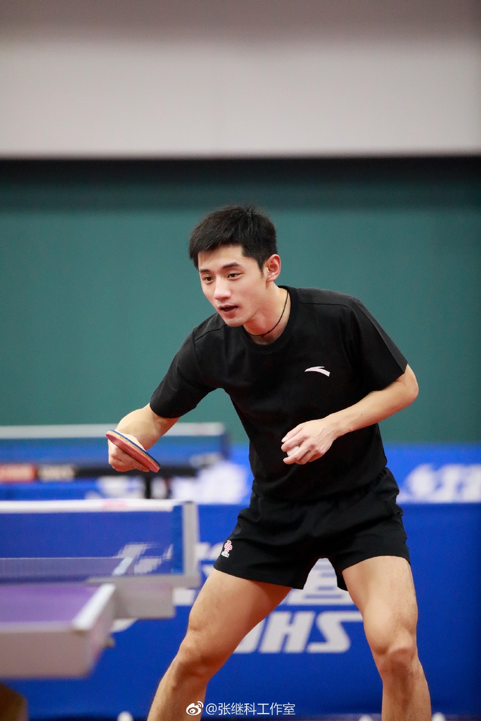 张继科31岁生日快乐