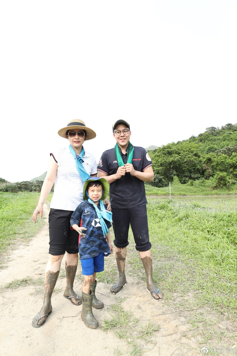 霍启刚郭晶晶带孩子体验插秧