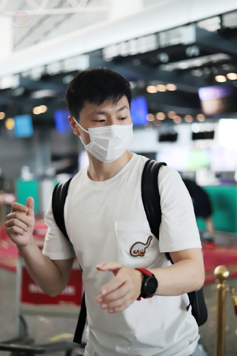 国乒结束集训 马龙许昕现身机场