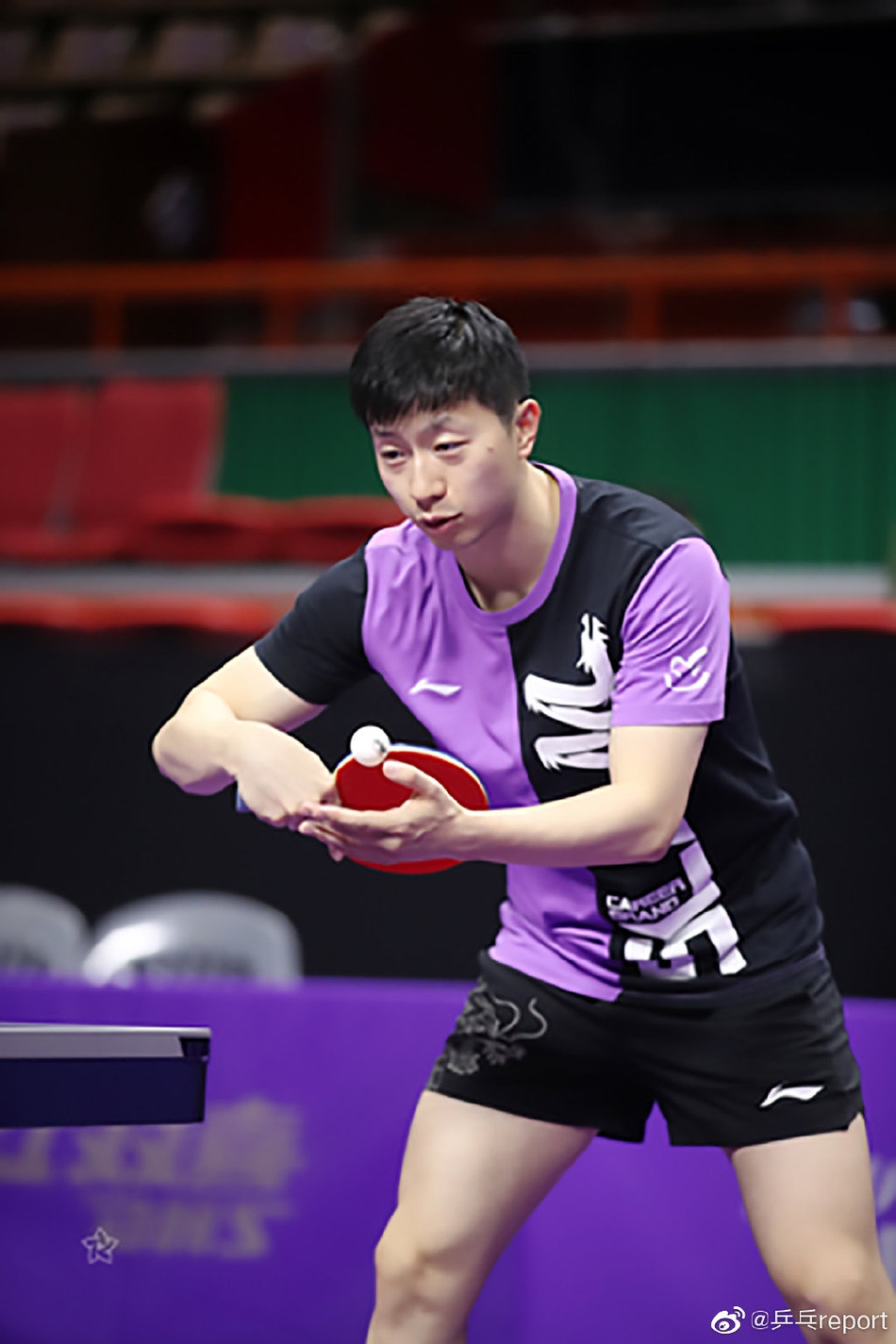 马龙领衔国乒男队备战韩乒赛