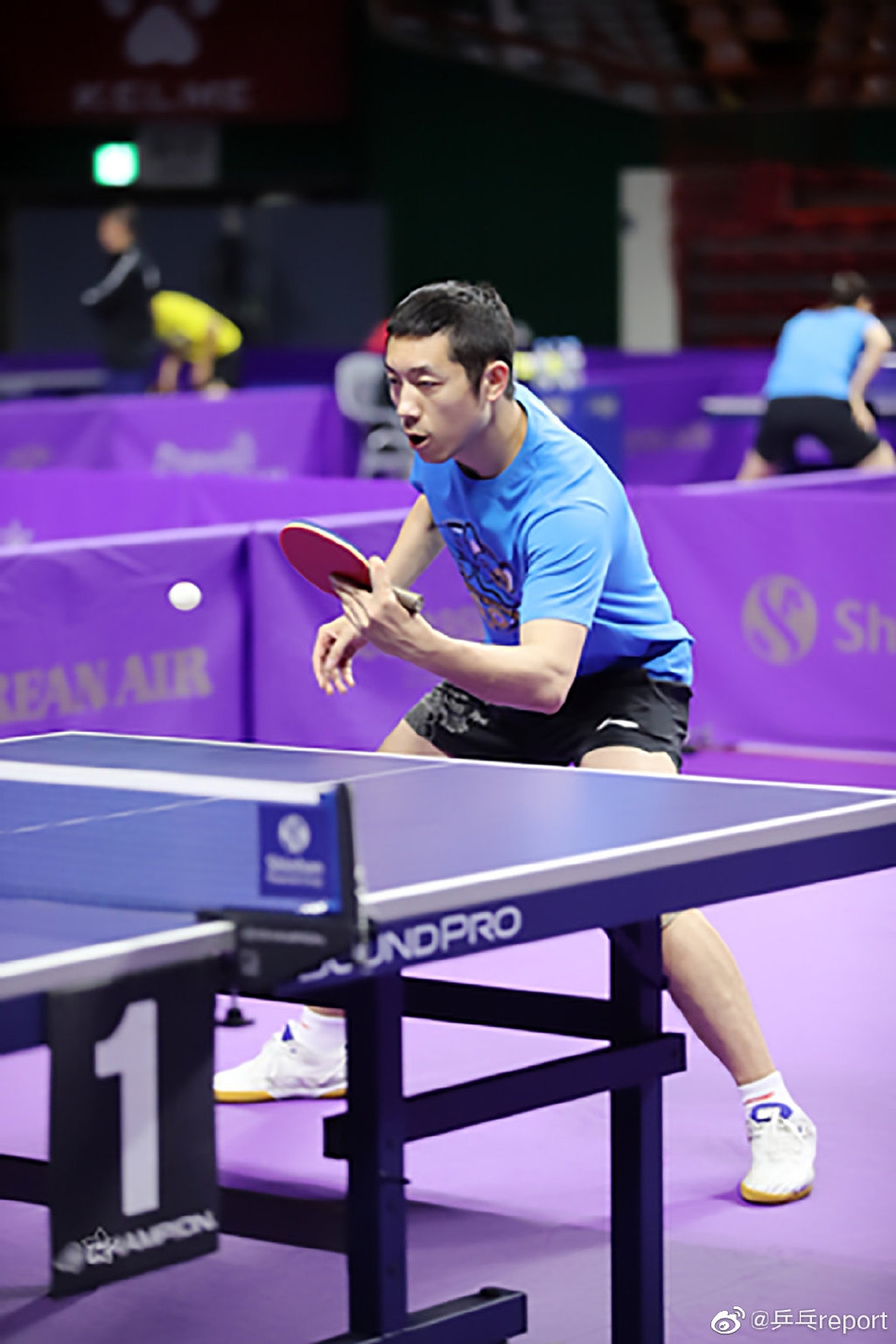 马龙领衔国乒男队备战韩乒赛