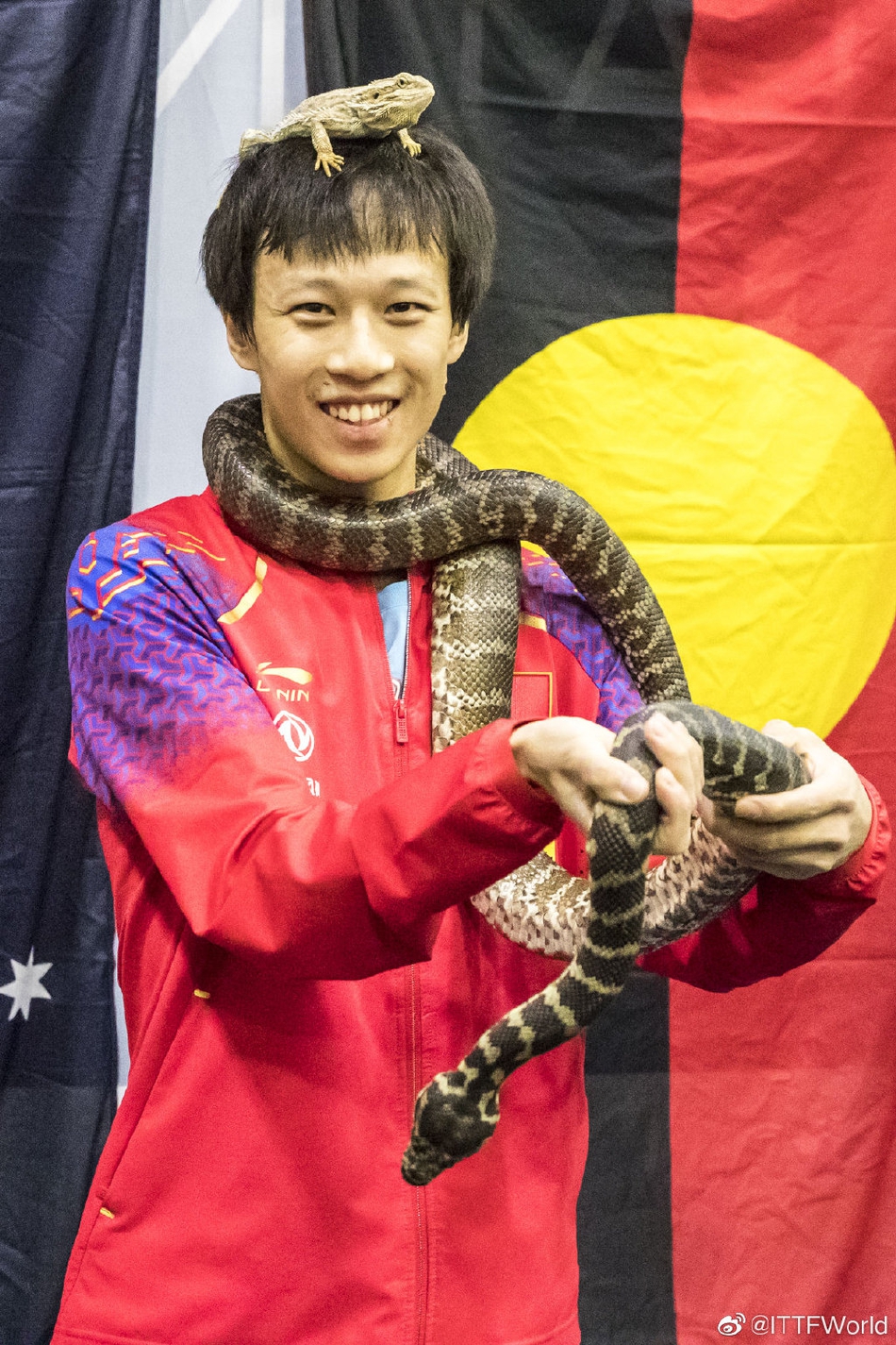 许昕林高远手拿蟒蛇拍照