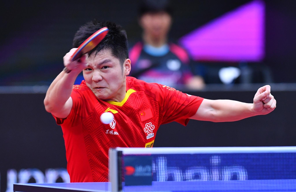 世界杯樊振东4-0张禹珍进决赛
