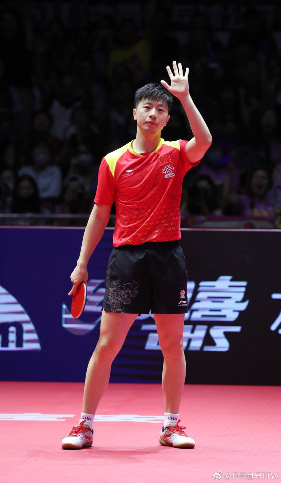 国乒2018冠军回顾50金战绩显眼