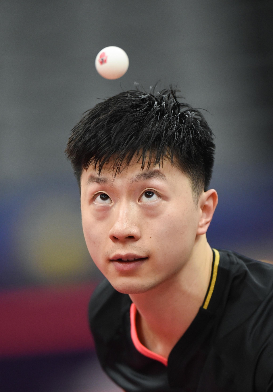 卡塔尔公开赛马龙首轮晋级