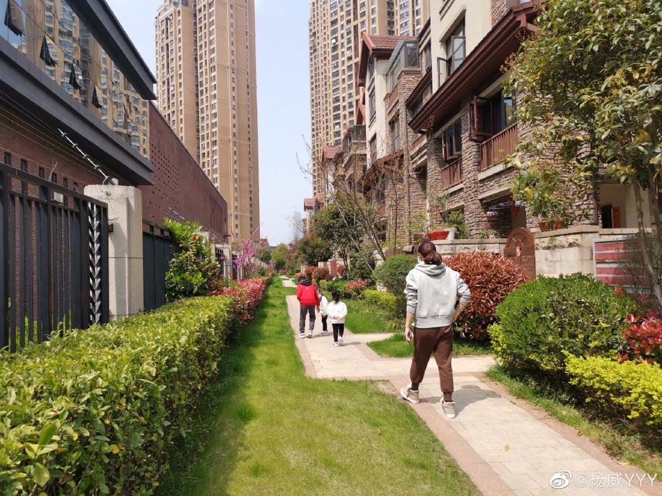 宅家两月后杨威带娃出门