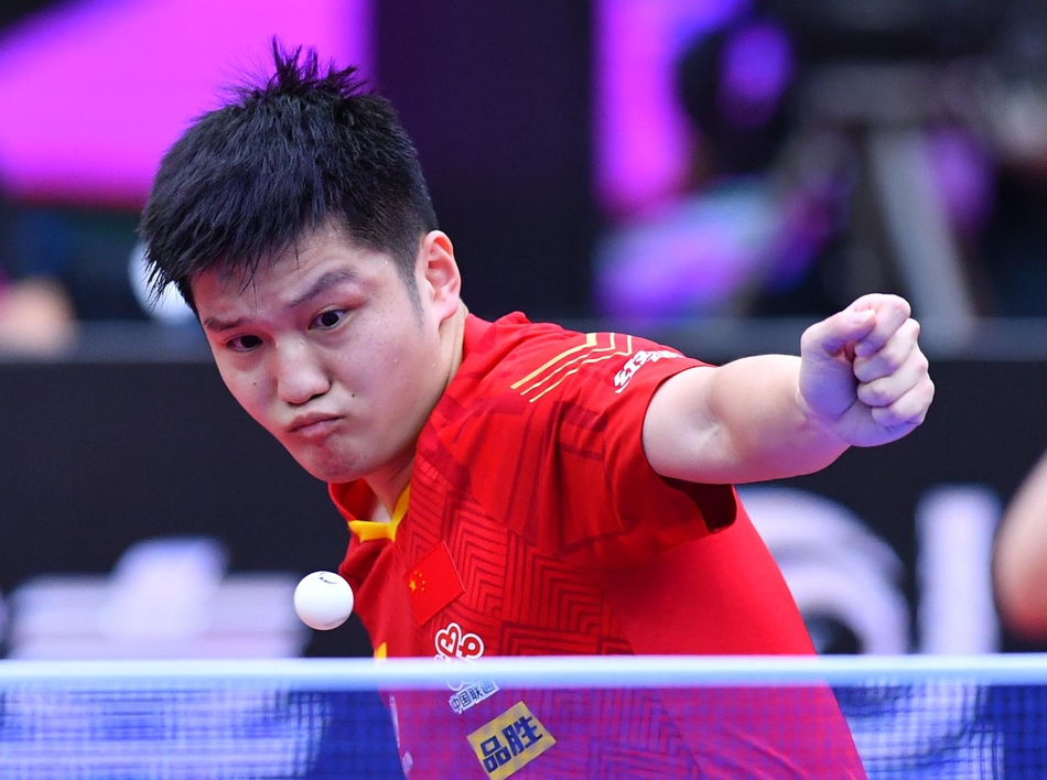 世界杯樊振东4-0张禹珍进决赛
