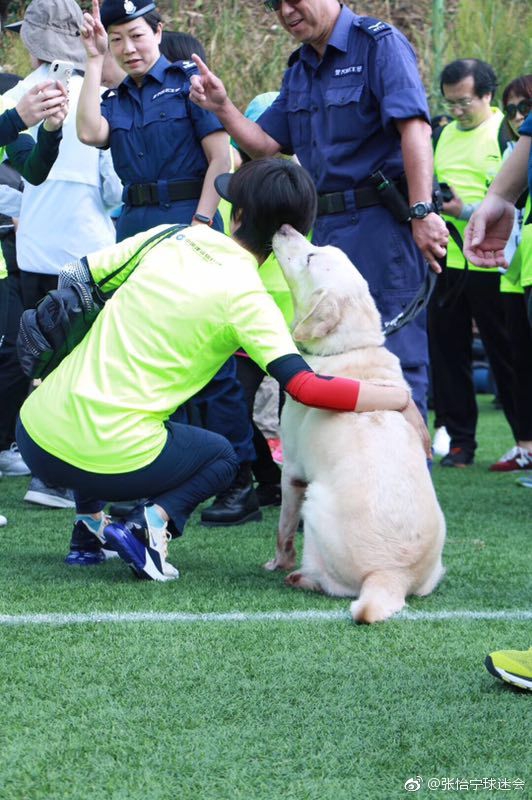 张怡宁出席活动运动装扮显清爽