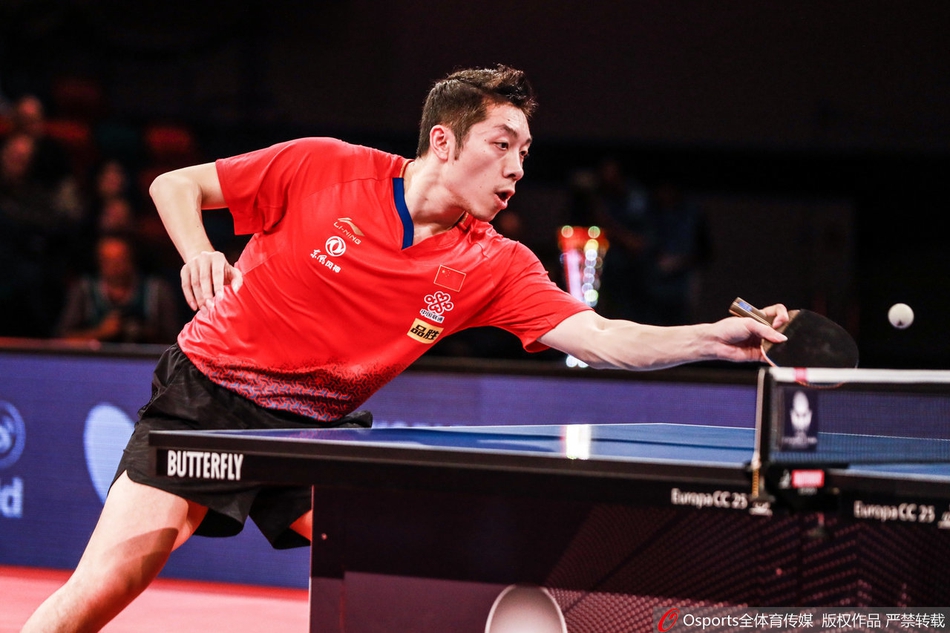 德国赛樊振东胜许昕夺冠