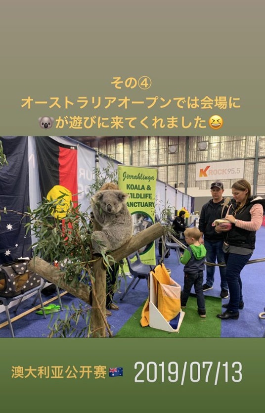 石川佳纯晒美照回忆2019