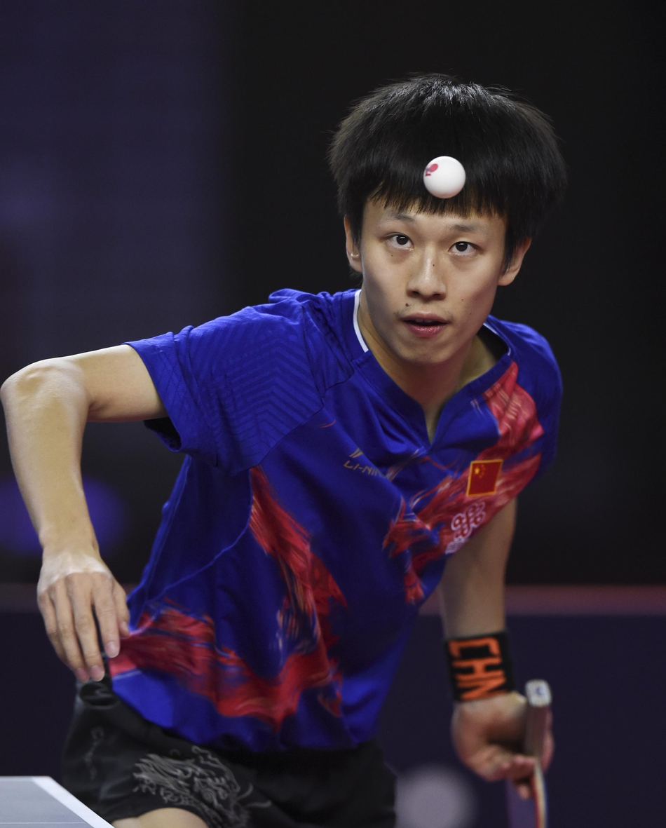 卡塔尔赛马龙胜林高远夺冠