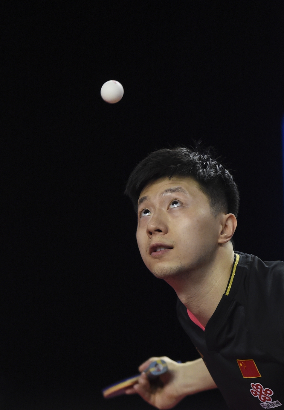 卡塔尔赛马龙胜林高远夺冠