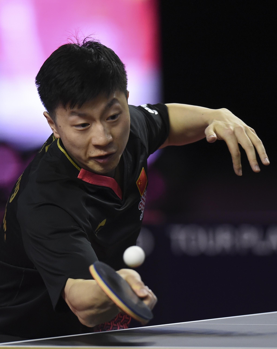 卡塔尔赛马龙胜林高远夺冠