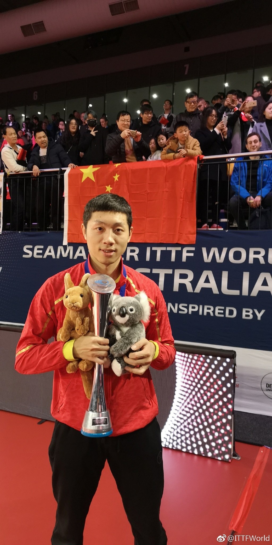 国乒2018冠军回顾50金战绩显眼