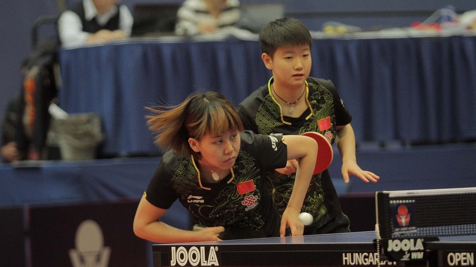 国乒2018冠军回顾50金战绩显眼