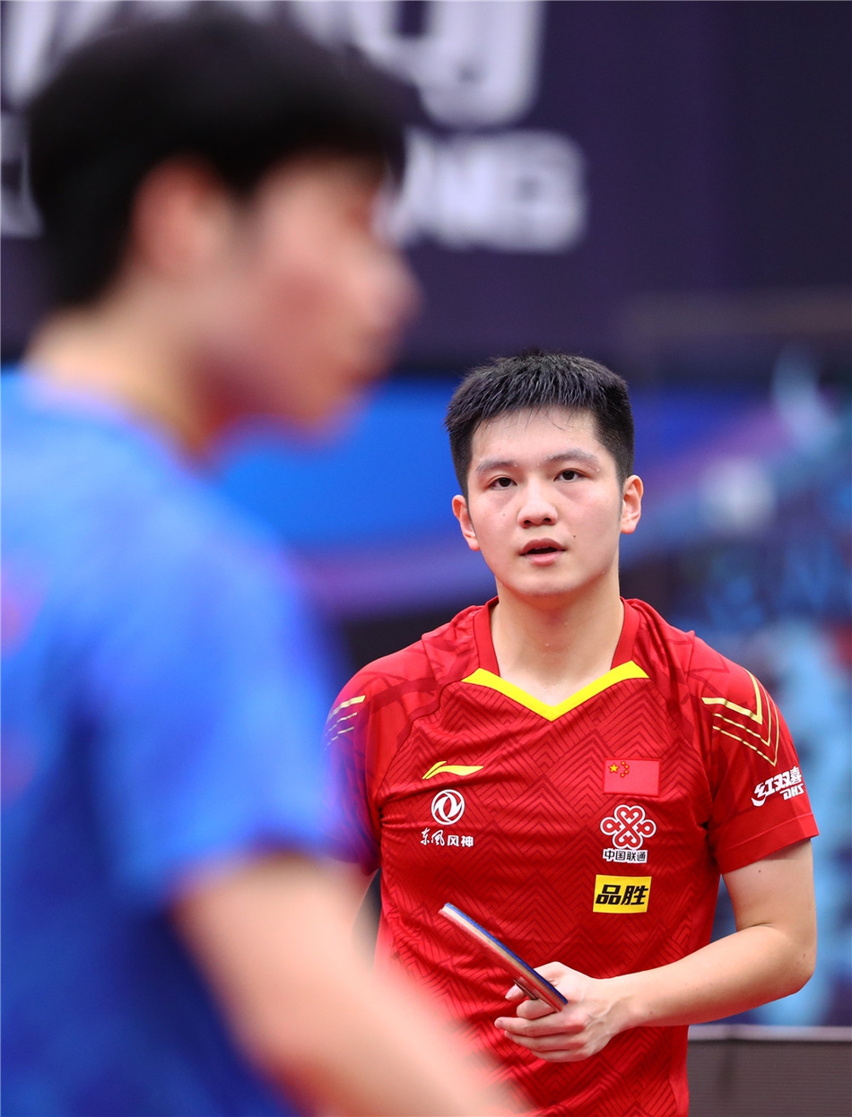 世界杯樊振东4-0张禹珍进决赛