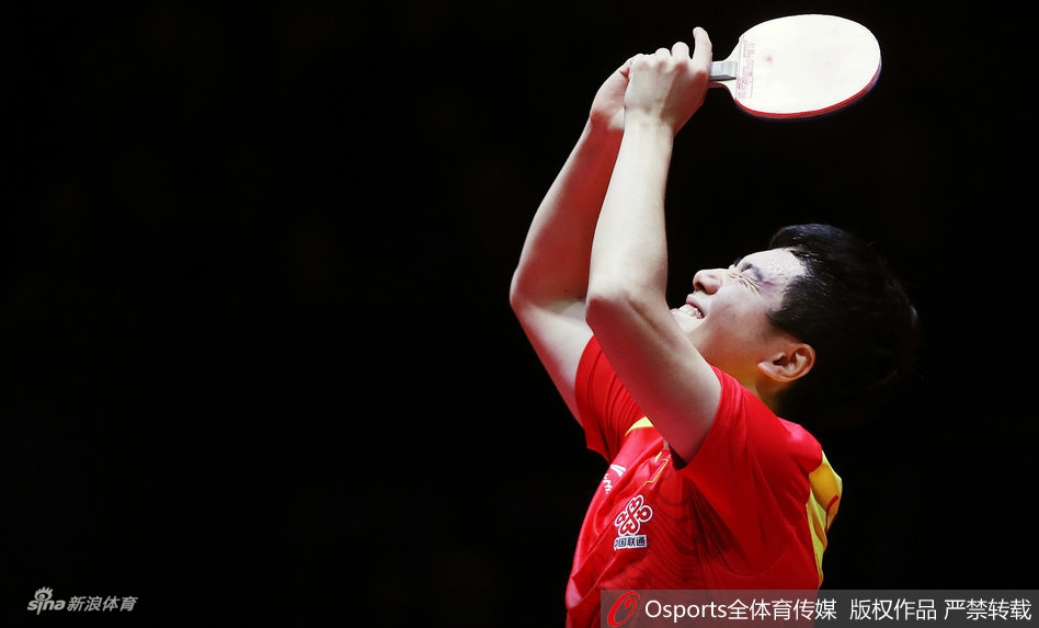 奥地利赛梁靖胜许昕夺冠