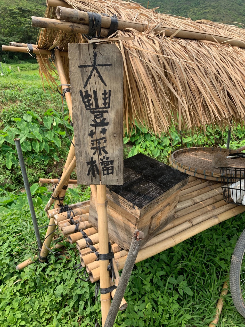 霍启刚郭晶晶带孩子体验插秧