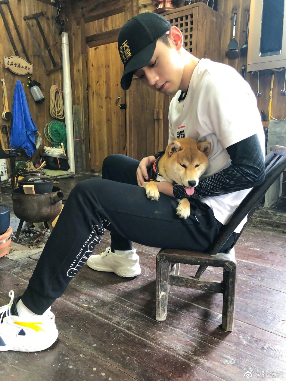 藏獒+柴犬！张继科录节目收养狗狗