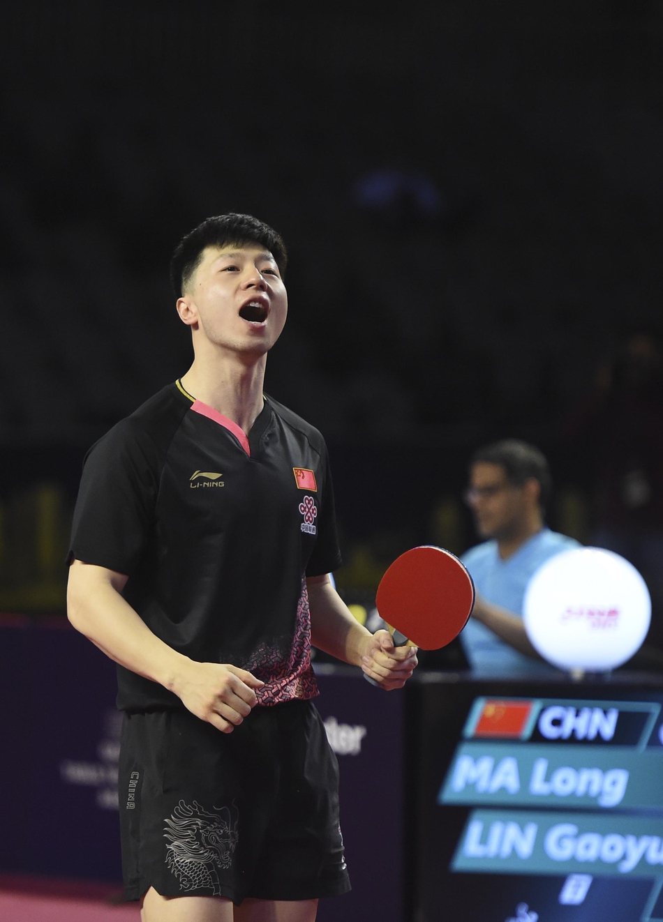 卡塔尔赛马龙胜林高远夺冠