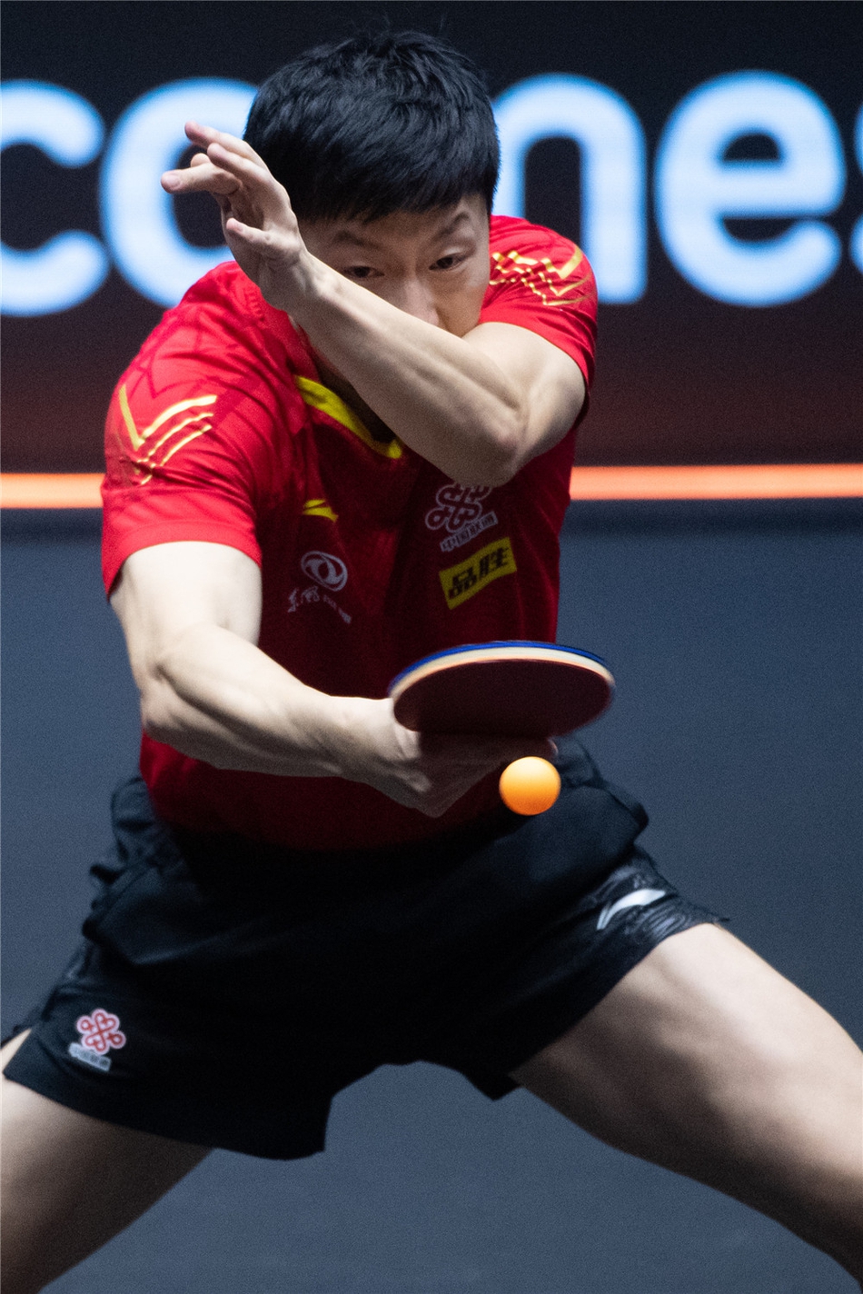 WTT澳门赛马龙夺得冠军