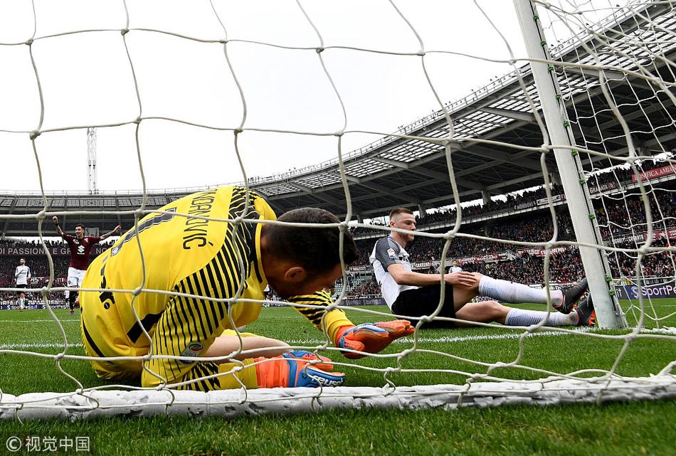 [意甲]都灵1-0国米