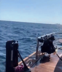 出去度个假最低消费4600万！魔术师的生活朴实无华且枯燥