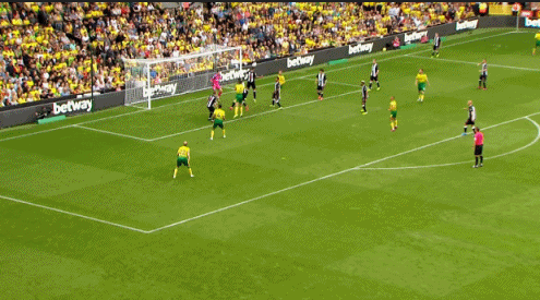 普基（诺维奇）