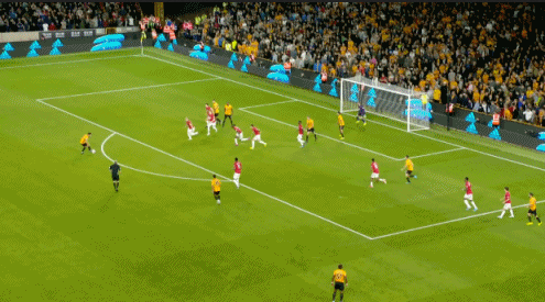 内维斯（狼队）